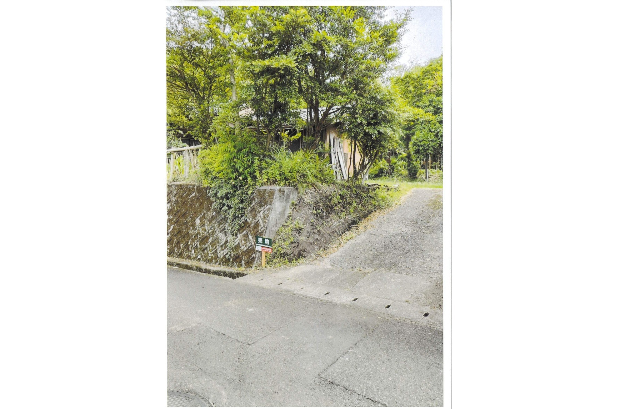 土地情報（一覧）