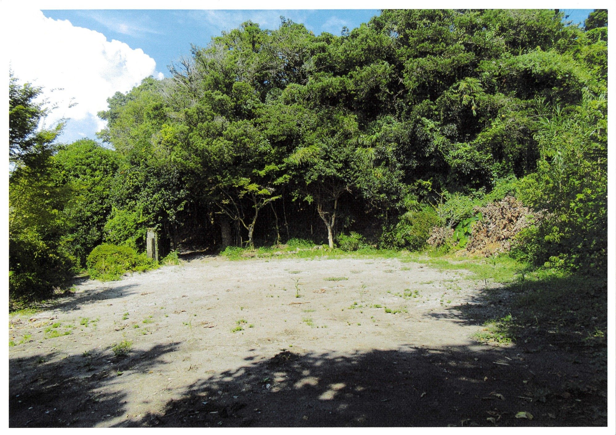 土地情報（一覧）