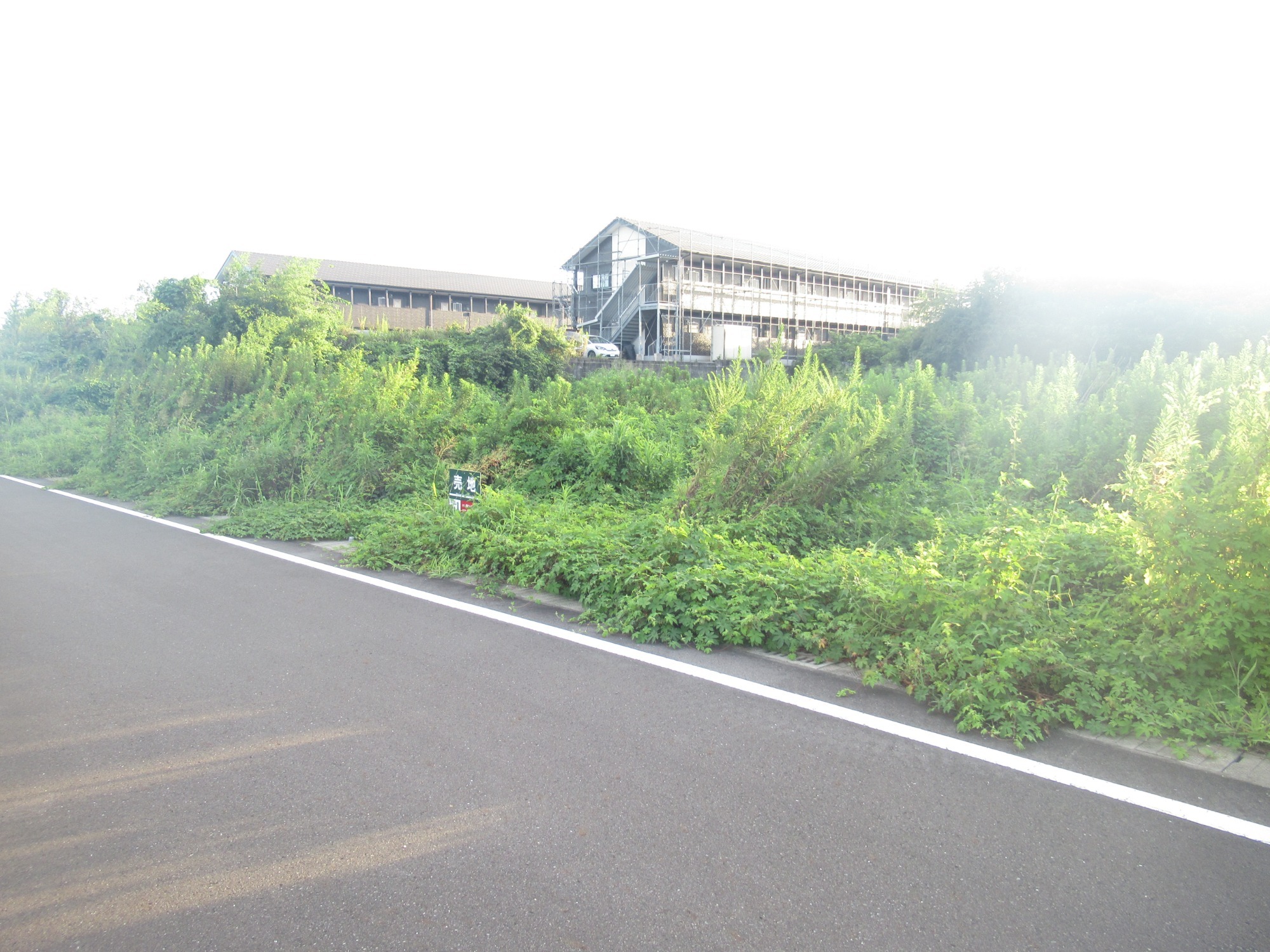 土地情報（一覧）