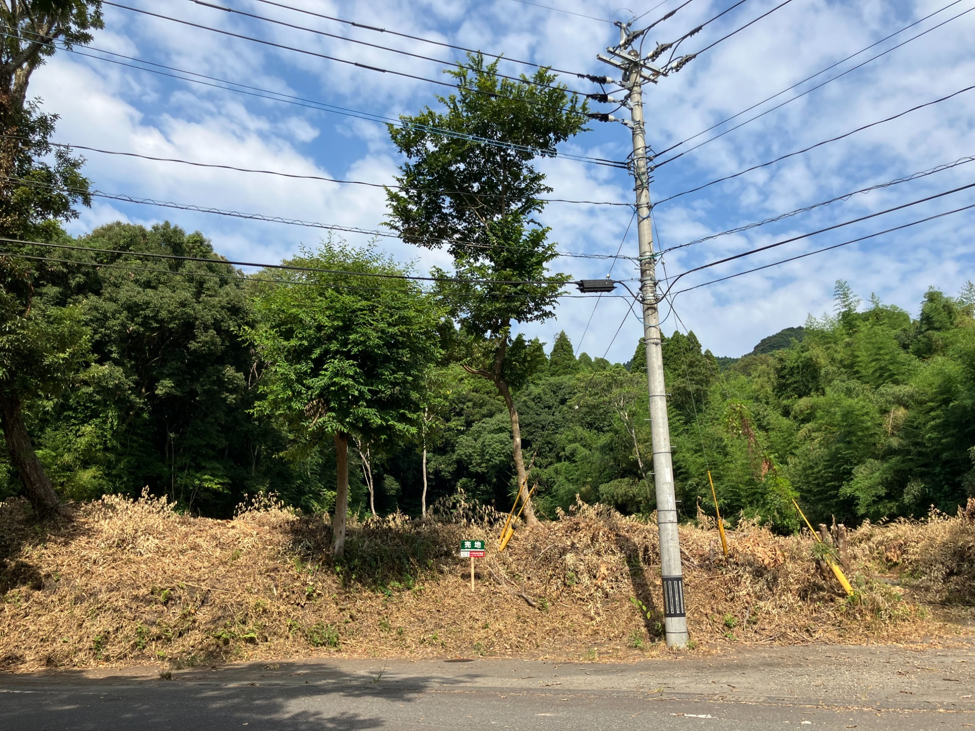 土地情報（一覧）