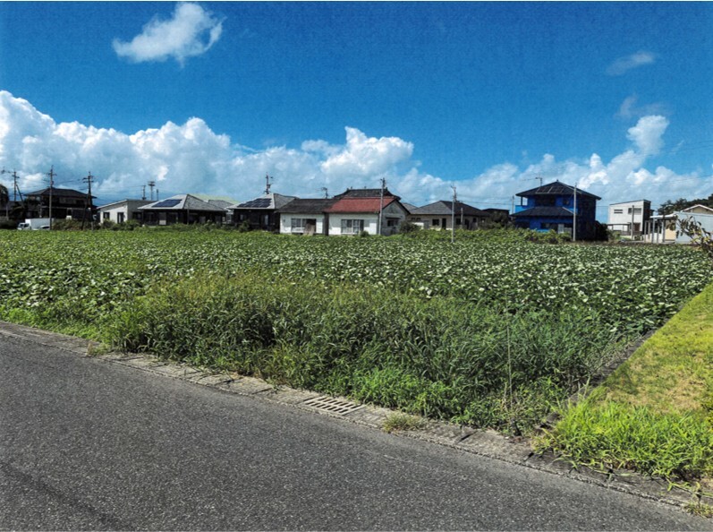 土地情報（一覧）